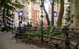 Park benches in Washington Square Park with NYU flags in the background
